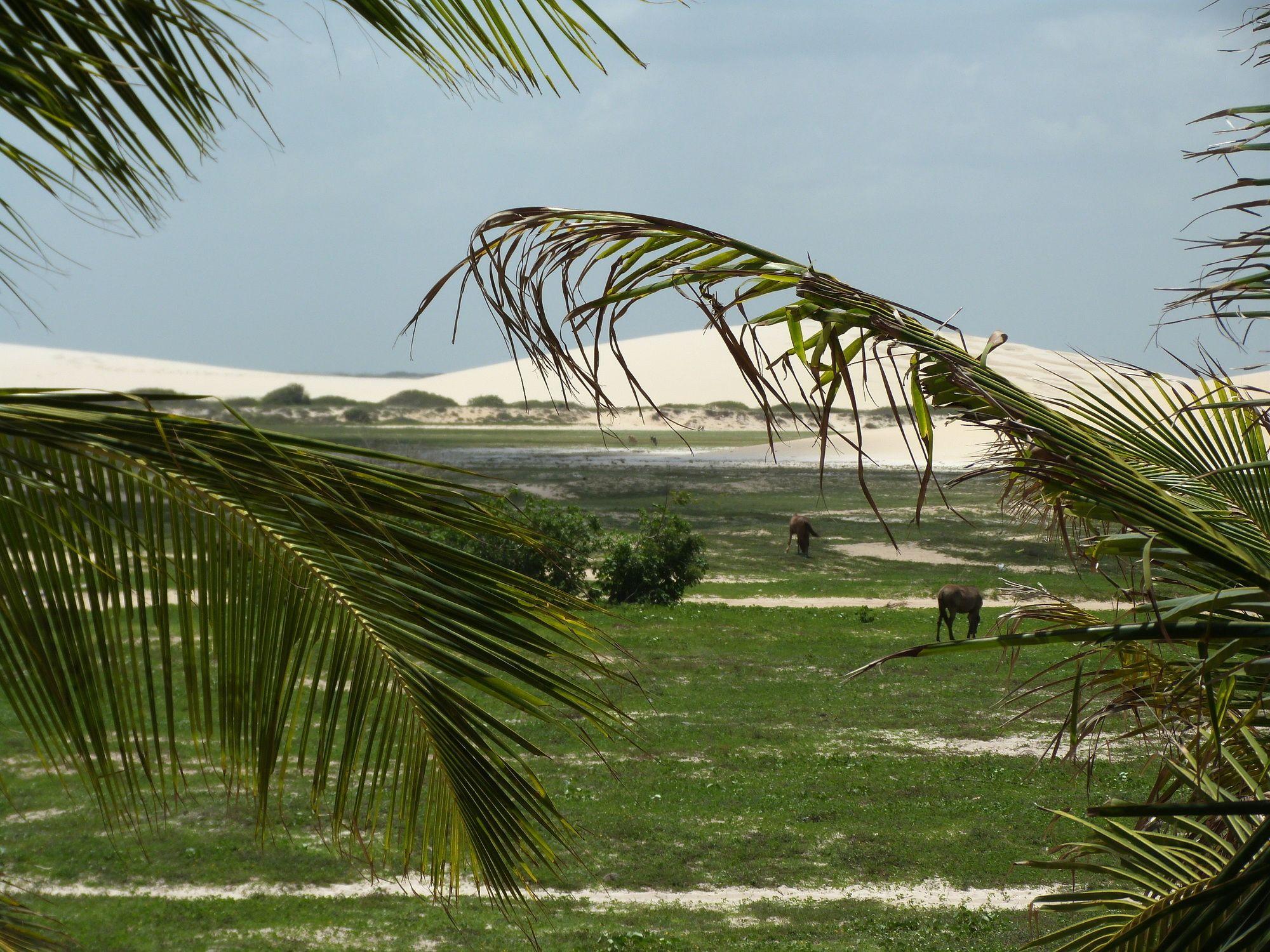 Pousada Mahí Jijoca de Jericoacoara Exterior foto