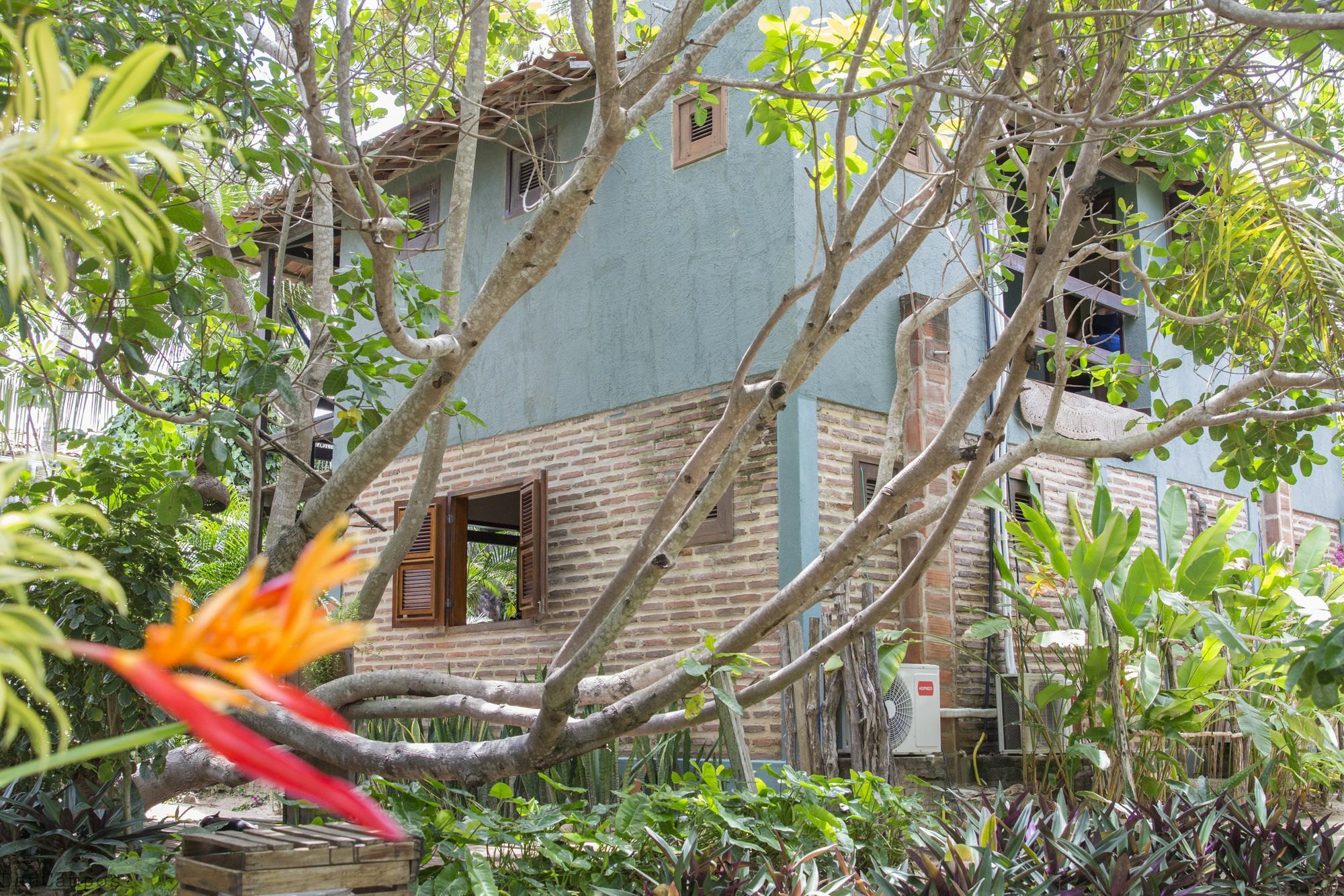 Pousada Mahí Jijoca de Jericoacoara Exterior foto